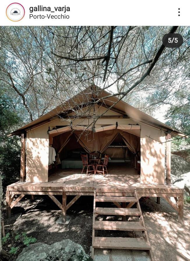 Camping Gallina Varja Сотта Екстер'єр фото
